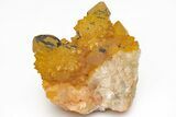 Sunshine Cactus Quartz Crystal Cluster - South Africa #212684-1